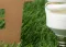 Green mortgages web larger