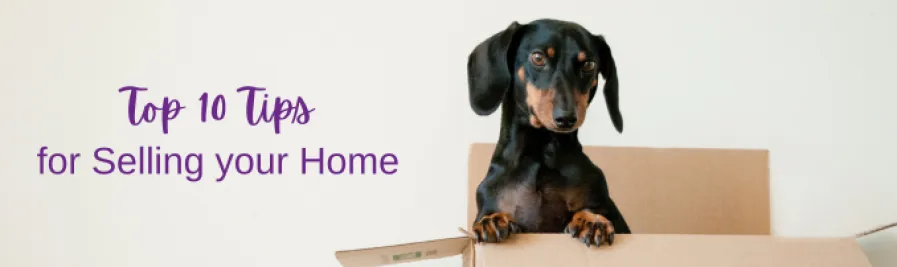 Top 10 Tips for Selling Home Web image