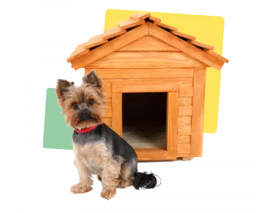 Dog in front wooden house